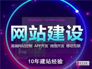 即墨商务服务数字化新篇章 网络软件开发引领行业变革